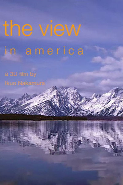 Póster de The View in America