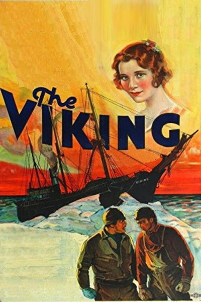Póster de The Viking