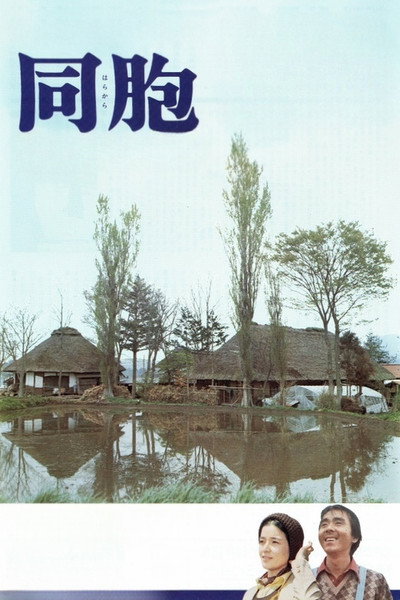 Póster de The Village