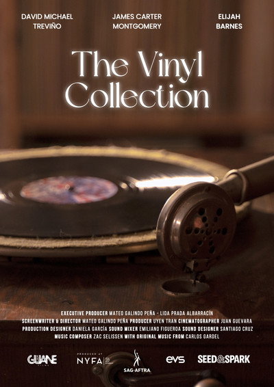 Póster de The Vinyl Collection