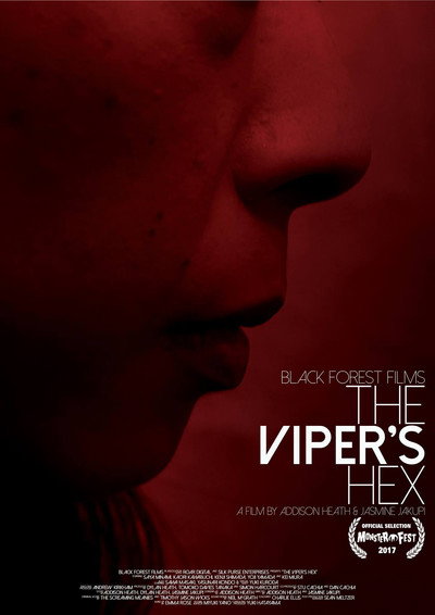 Póster de The Viper's Hex