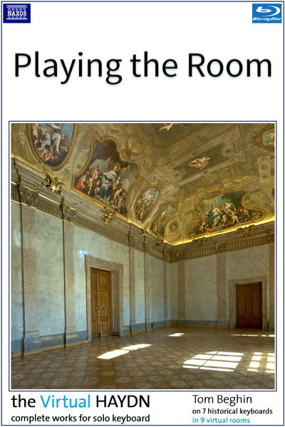 Póster de The Virtual Haydn
