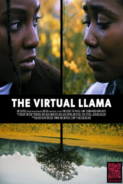 Póster de The Virtual Llama