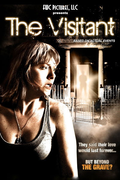 Póster de The Visitant
