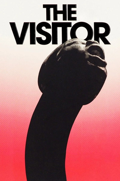 Póster de The Visitor