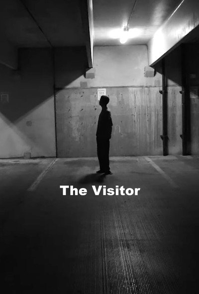 Póster de The Visitor