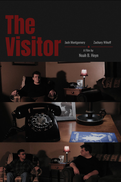 Póster de The Visitor