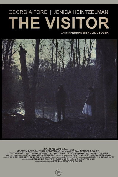 Póster de The Visitor