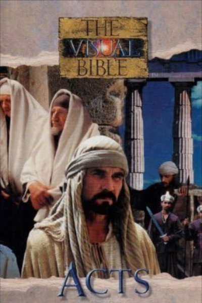 Póster de The Visual Bible: Acts