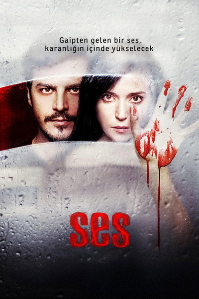 Póster de The Voice