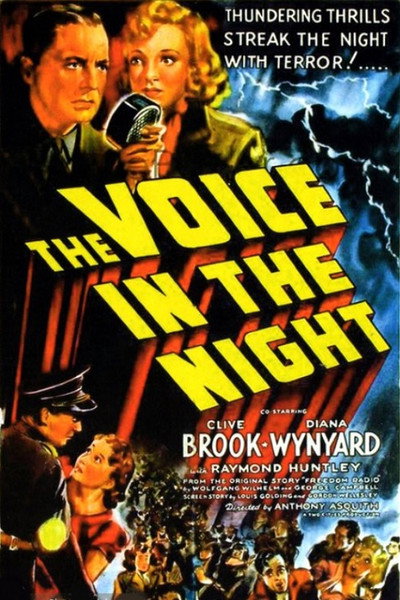 Póster de The Voice in the Night