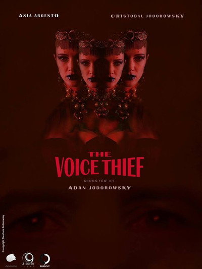 Póster de The Voice Thief