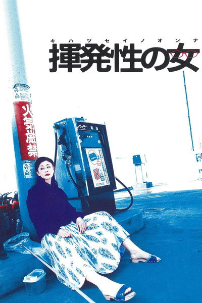 Póster de The Volatile Woman