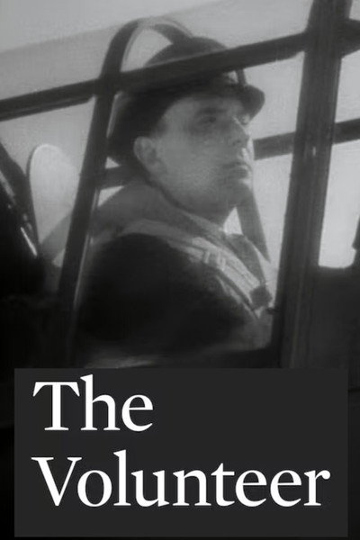 Póster de The Volunteer