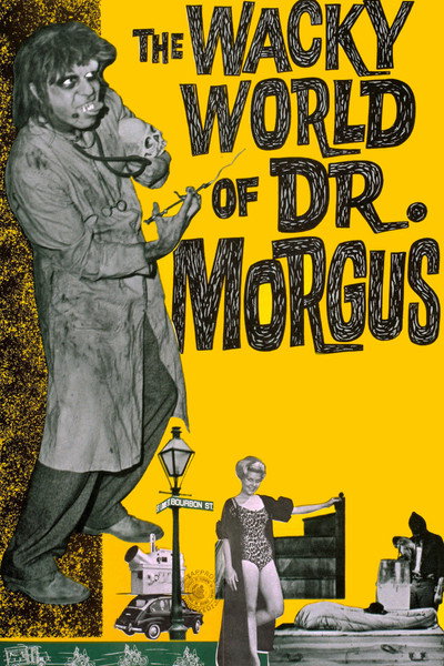 Póster de The Wacky World of Dr. Morgus