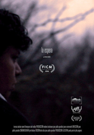 Póster de The Wait