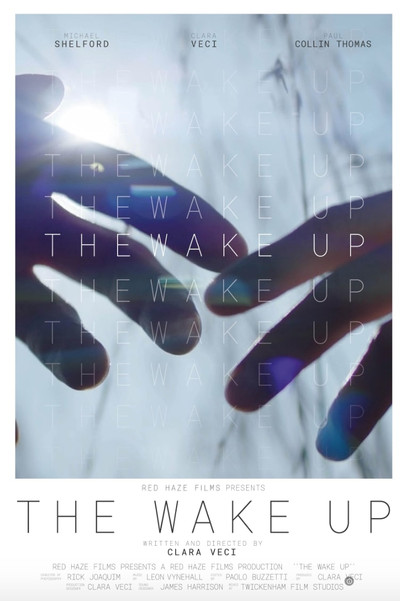Póster de The Wake Up