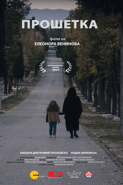 Póster de The Walk