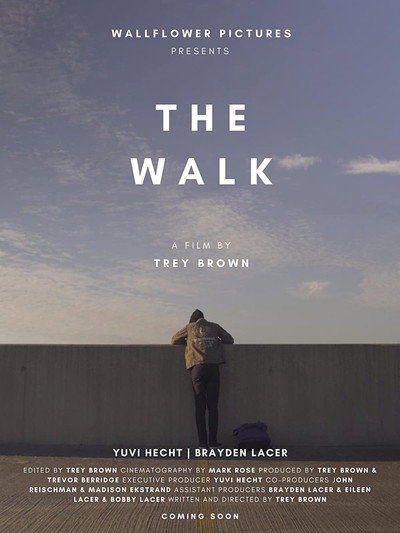 Póster de The Walk