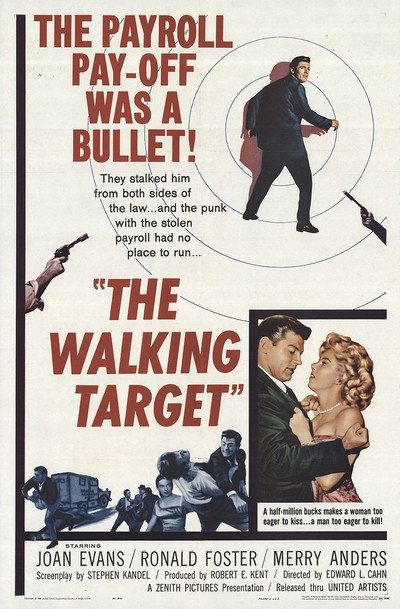 Póster de The Walking Target
