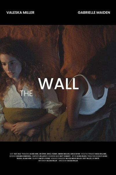 Póster de The Wall