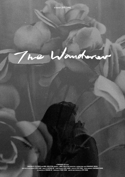 Póster de The Wanderer