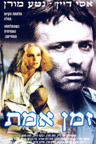 Póster de The War After