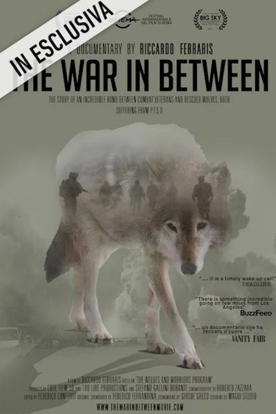 Póster de The War in Between