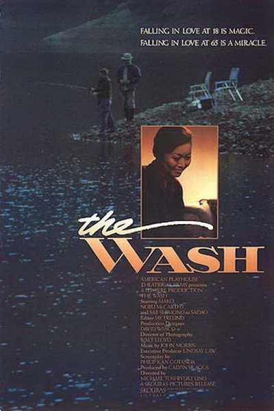 Póster de The Wash