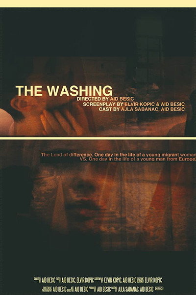 Póster de The Washing
