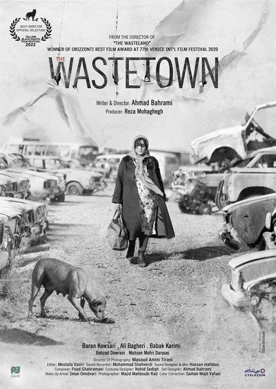 Póster de The Wastetown