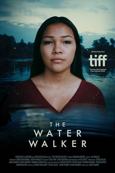 Póster de The Water Walker