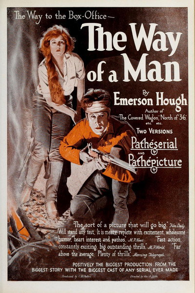 Póster de The Way of a Man
