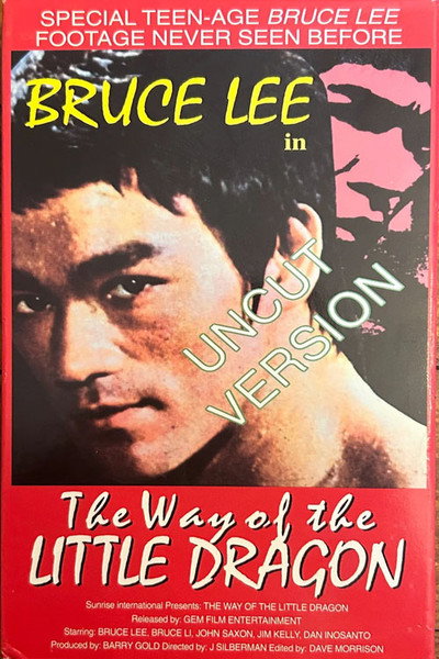 Póster de The Way of the Little Dragon