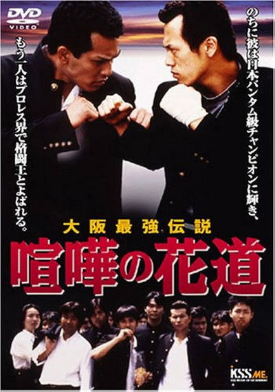 Póster de The Way to Fight