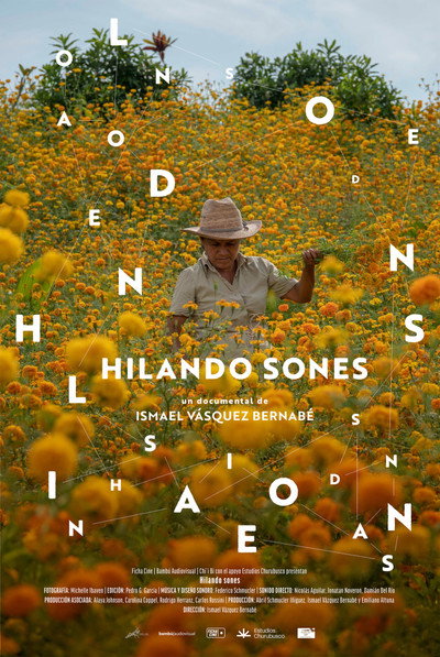 Póster de The Weavers' Songs