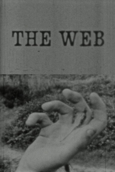 Póster de The Web