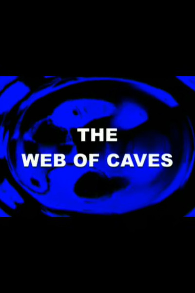 Póster de The Web of Caves