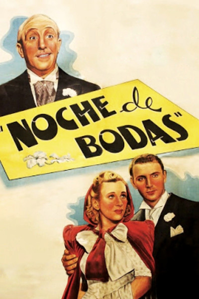 Póster de The Wedding Night