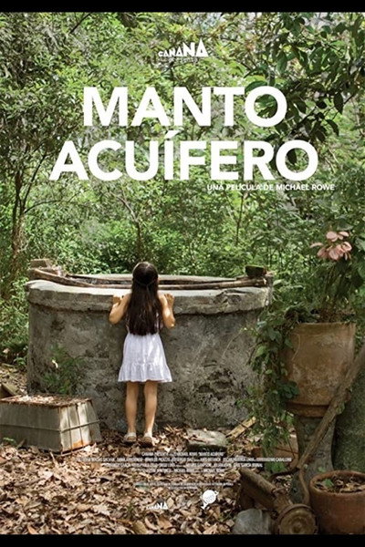 Póster de The Well