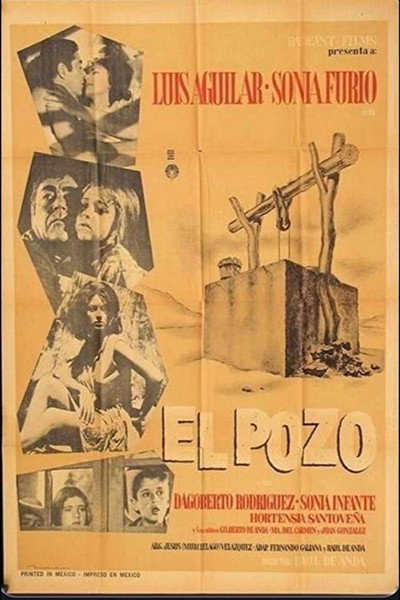 Póster de The Well