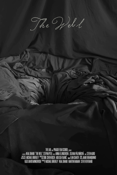 Póster de The Well