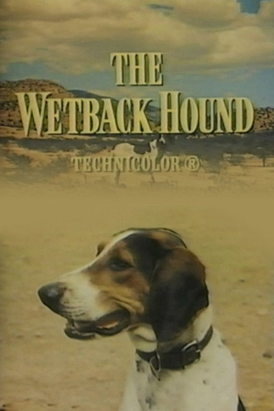 Póster de The Wetback Hound