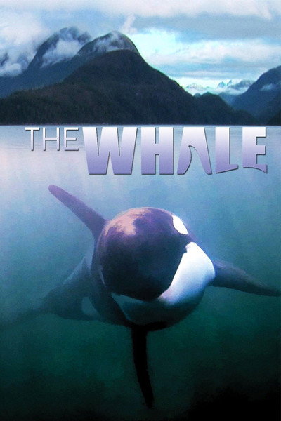 Póster de The Whale