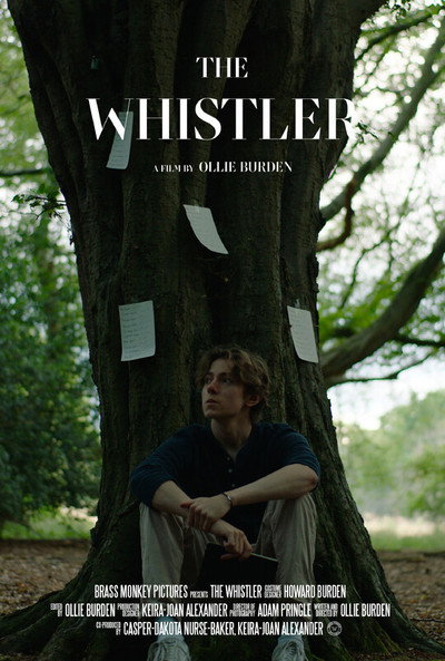 Póster de The Whistler