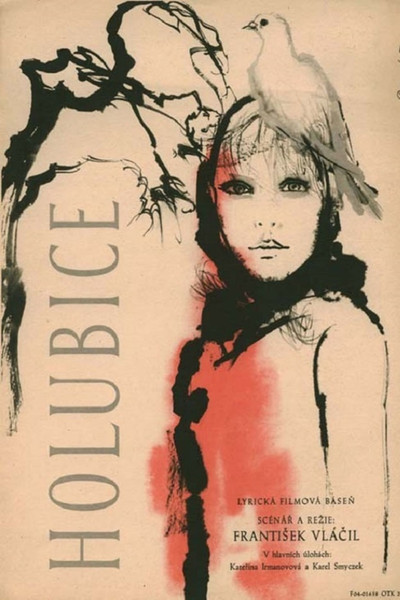 Póster de The White Dove
