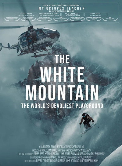 Póster de The White Mountain