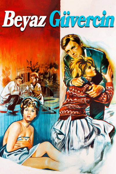 Póster de The White Pigeon