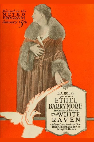 Póster de The White Raven