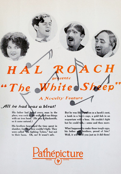 Póster de The White Sheep